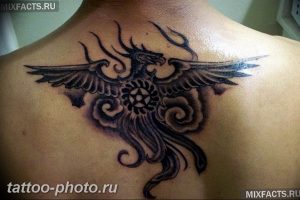 фото идеи тату феникс 18.12.2018 №345 - photo ideas tattoo phoenix - tattoo-photo.ru