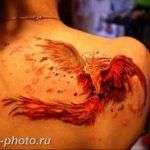 фото идеи тату феникс 18.12.2018 №348 - photo ideas tattoo phoenix - tattoo-photo.ru