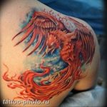 фото идеи тату феникс 18.12.2018 №353 - photo ideas tattoo phoenix - tattoo-photo.ru