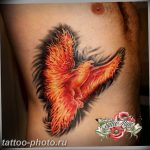 фото идеи тату феникс 18.12.2018 №354 - photo ideas tattoo phoenix - tattoo-photo.ru