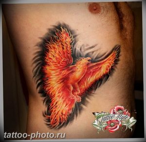 фото идеи тату феникс 18.12.2018 №354 - photo ideas tattoo phoenix - tattoo-photo.ru