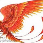 фото идеи тату феникс 18.12.2018 №362 - photo ideas tattoo phoenix - tattoo-photo.ru