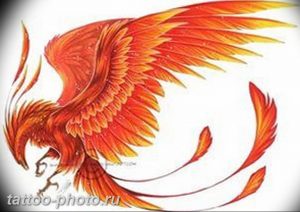 фото идеи тату феникс 18.12.2018 №362 - photo ideas tattoo phoenix - tattoo-photo.ru