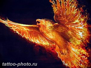 фото идеи тату феникс 18.12.2018 №363 - photo ideas tattoo phoenix - tattoo-photo.ru