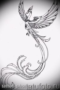 фото идеи тату феникс 18.12.2018 №364 - photo ideas tattoo phoenix - tattoo-photo.ru
