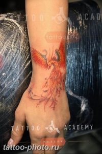 фото идеи тату феникс 18.12.2018 №374 - photo ideas tattoo phoenix - tattoo-photo.ru
