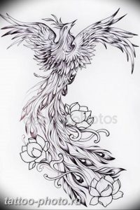 фото идеи тату феникс 18.12.2018 №381 - photo ideas tattoo phoenix - tattoo-photo.ru