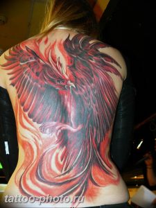 фото идеи тату феникс 18.12.2018 №392 - photo ideas tattoo phoenix - tattoo-photo.ru