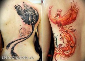 фото идеи тату феникс 18.12.2018 №395 - photo ideas tattoo phoenix - tattoo-photo.ru