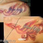 фото идеи тату феникс 18.12.2018 №406 - photo ideas tattoo phoenix - tattoo-photo.ru