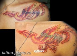 фото идеи тату феникс 18.12.2018 №406 - photo ideas tattoo phoenix - tattoo-photo.ru