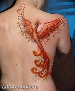 фото идеи тату феникс 18.12.2018 №413 - photo ideas tattoo phoenix - tattoo-photo.ru