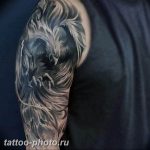 фото идеи тату феникс 18.12.2018 №415 - photo ideas tattoo phoenix - tattoo-photo.ru