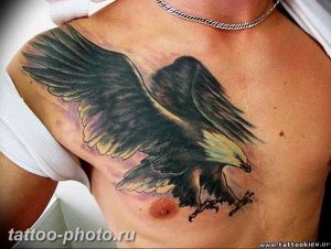 фото идеи тату феникс 18.12.2018 №426 - photo ideas tattoo phoenix - tattoo-photo.ru