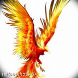 фото идеи тату феникс 18.12.2018 №430 - photo ideas tattoo phoenix - tattoo-photo.ru