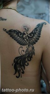 фото идеи тату феникс 18.12.2018 №433 - photo ideas tattoo phoenix - tattoo-photo.ru