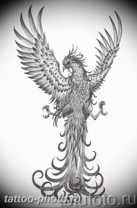 фото идеи тату феникс 18.12.2018 №434 - photo ideas tattoo phoenix - tattoo-photo.ru
