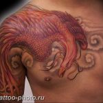 фото идеи тату феникс 18.12.2018 №435 - photo ideas tattoo phoenix - tattoo-photo.ru