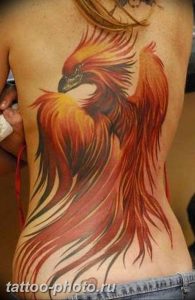 фото идеи тату феникс 18.12.2018 №436 - photo ideas tattoo phoenix - tattoo-photo.ru