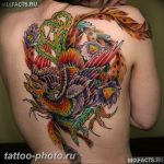 фото идеи тату феникс 18.12.2018 №440 - photo ideas tattoo phoenix - tattoo-photo.ru