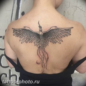 фото идеи тату феникс 18.12.2018 №441 - photo ideas tattoo phoenix - tattoo-photo.ru