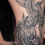 фото идеи тату феникс 18.12.2018 №446 - photo ideas tattoo phoenix - tattoo-photo.ru