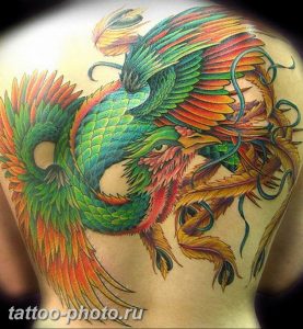 фото идеи тату феникс 18.12.2018 №447 - photo ideas tattoo phoenix - tattoo-photo.ru