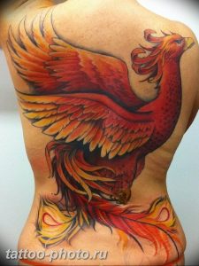 фото идеи тату феникс 18.12.2018 №450 - photo ideas tattoo phoenix - tattoo-photo.ru