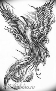 фото идеи тату феникс 18.12.2018 №452 - photo ideas tattoo phoenix - tattoo-photo.ru