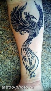 фото идеи тату феникс 18.12.2018 №456 - photo ideas tattoo phoenix - tattoo-photo.ru