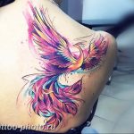 фото идеи тату феникс 18.12.2018 №464 - photo ideas tattoo phoenix - tattoo-photo.ru