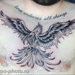 фото идеи тату феникс 18.12.2018 №473 - photo ideas tattoo phoenix - tattoo-photo.ru