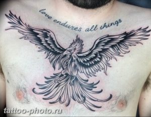 фото идеи тату феникс 18.12.2018 №473 - photo ideas tattoo phoenix - tattoo-photo.ru
