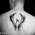 фото идеи тату феникс 18.12.2018 №475 - photo ideas tattoo phoenix - tattoo-photo.ru