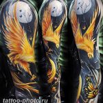 фото идеи тату феникс 18.12.2018 №476 - photo ideas tattoo phoenix - tattoo-photo.ru
