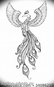 фото идеи тату феникс 18.12.2018 №477 - photo ideas tattoo phoenix - tattoo-photo.ru