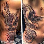 фото идеи тату феникс 18.12.2018 №478 - photo ideas tattoo phoenix - tattoo-photo.ru