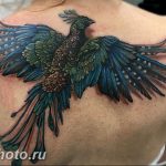 фото идеи тату феникс 18.12.2018 №480 - photo ideas tattoo phoenix - tattoo-photo.ru