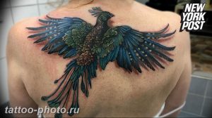 фото идеи тату феникс 18.12.2018 №480 - photo ideas tattoo phoenix - tattoo-photo.ru