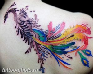 фото идеи тату феникс 18.12.2018 №482 - photo ideas tattoo phoenix - tattoo-photo.ru
