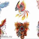 фото идеи тату феникс 18.12.2018 №488 - photo ideas tattoo phoenix - tattoo-photo.ru