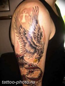 фото идеи тату феникс 18.12.2018 №494 - photo ideas tattoo phoenix - tattoo-photo.ru