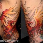 фото идеи тату феникс 18.12.2018 №496 - photo ideas tattoo phoenix - tattoo-photo.ru