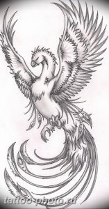 фото идеи тату феникс 18.12.2018 №498 - photo ideas tattoo phoenix - tattoo-photo.ru