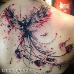 фото идеи тату феникс 18.12.2018 №506 - photo ideas tattoo phoenix - tattoo-photo.ru