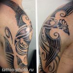 фото идеи тату феникс 18.12.2018 №507 - photo ideas tattoo phoenix - tattoo-photo.ru