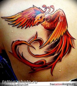 фото идеи тату феникс 18.12.2018 №508 - photo ideas tattoo phoenix - tattoo-photo.ru