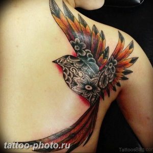 фото идеи тату феникс 18.12.2018 №511 - photo ideas tattoo phoenix - tattoo-photo.ru