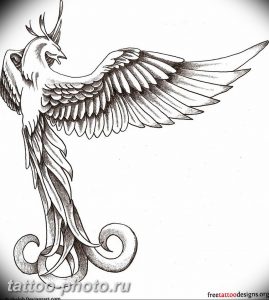 фото идеи тату феникс 18.12.2018 №524 - photo ideas tattoo phoenix - tattoo-photo.ru