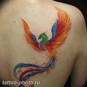 фото идеи тату феникс 18.12.2018 №532 - photo ideas tattoo phoenix - tattoo-photo.ru